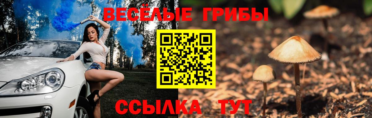 Псилоцибиновые грибы GOLDEN TEACHER Армавир